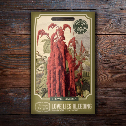 Love Lies Bleeding