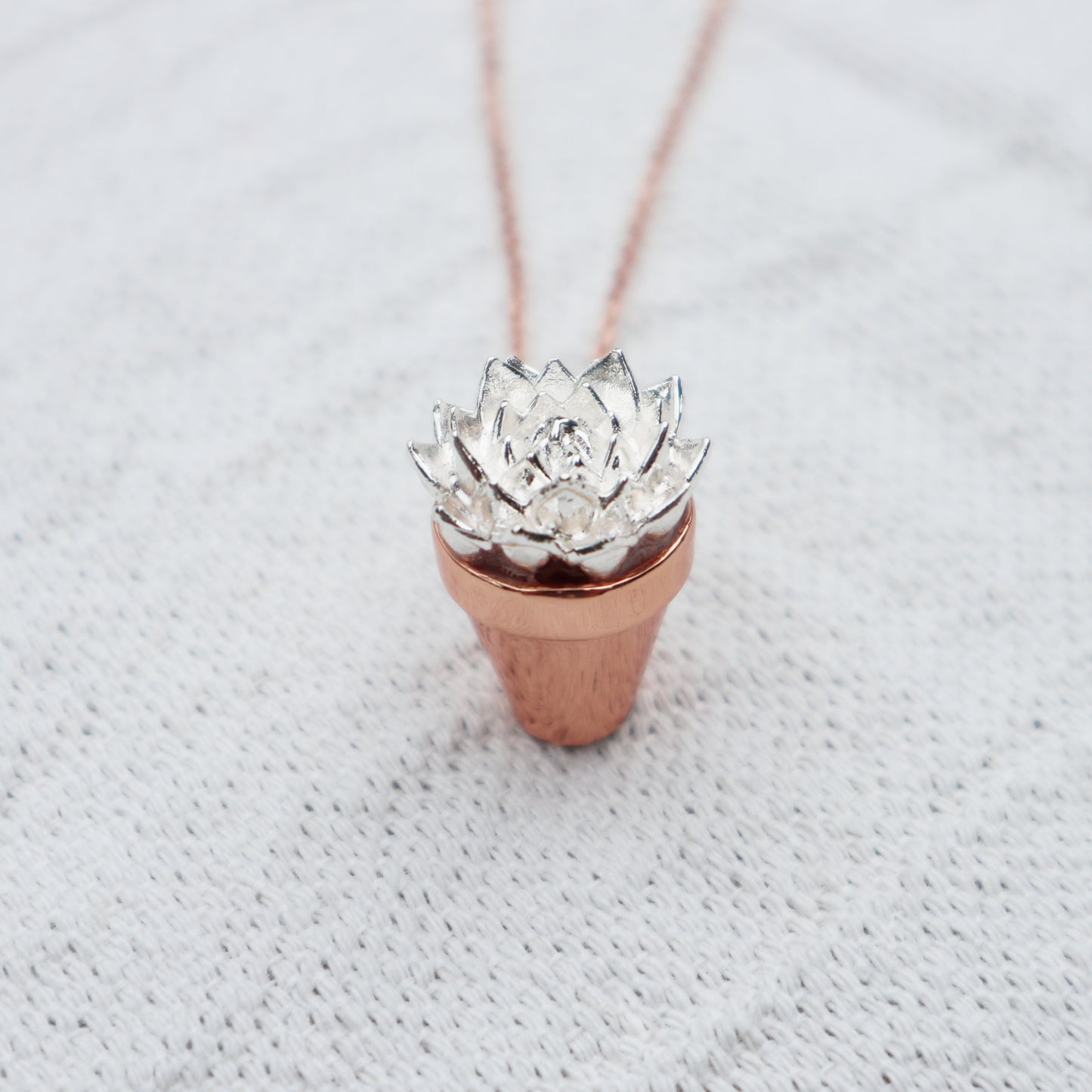 Succulent Pendant