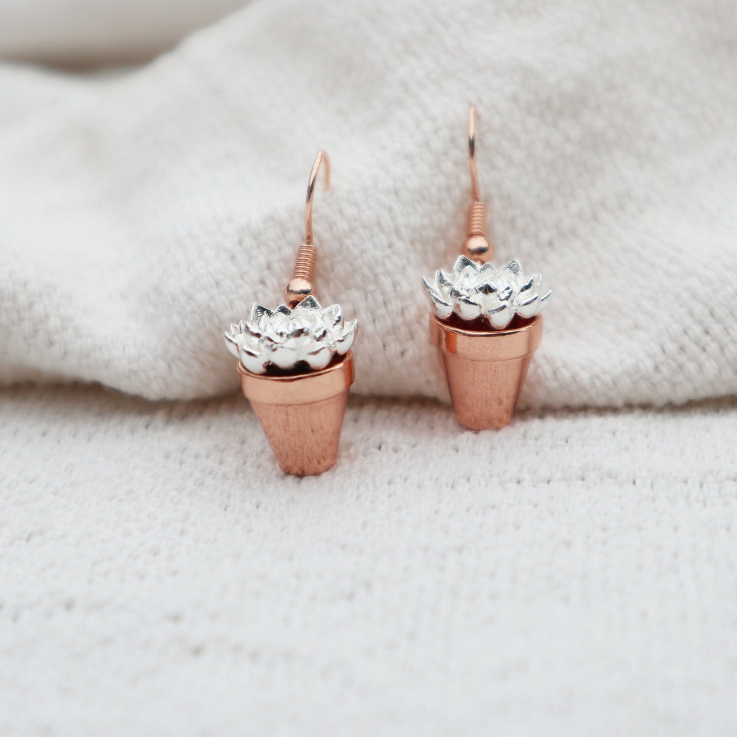 Succulent Earrings