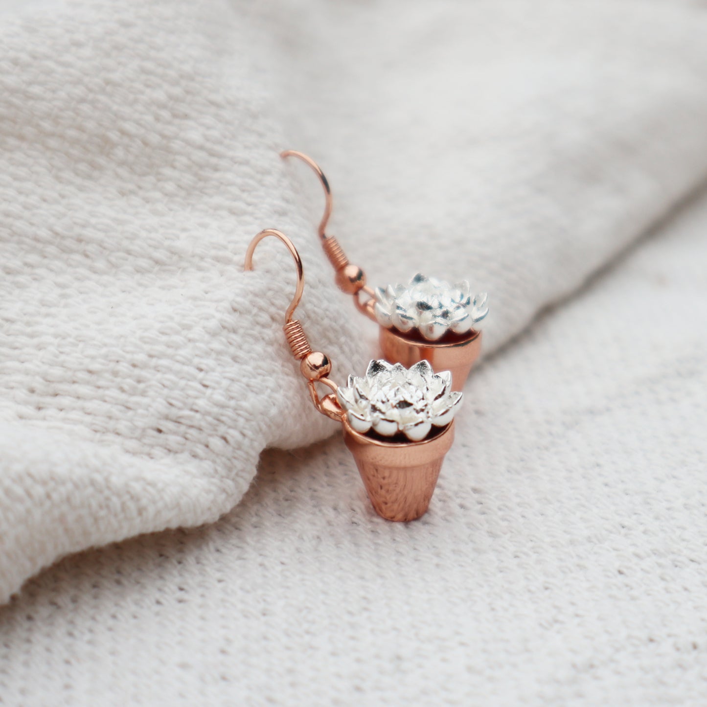 Succulent Earrings
