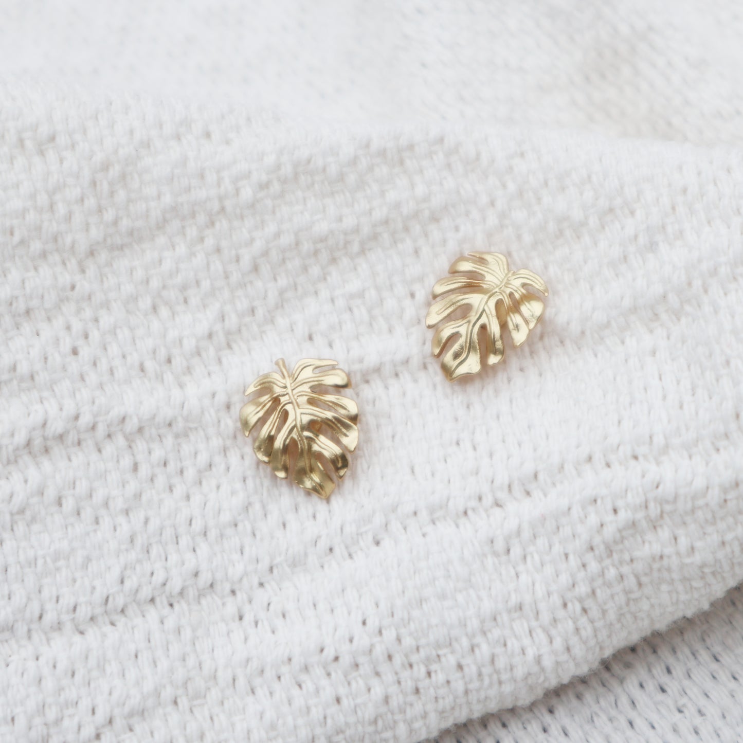 Monstera Leaf Studs