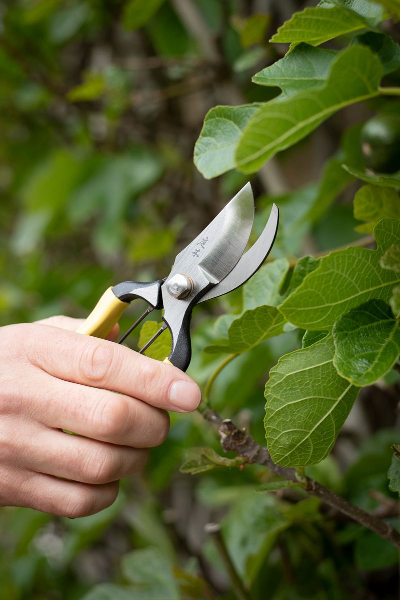 Niwaki Higurashi GR Secateurs