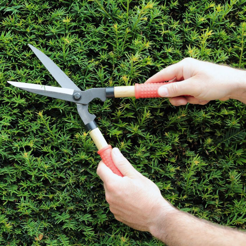 Niwaki Mini Shears
