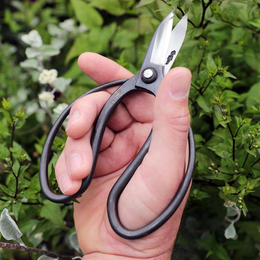 Niwaki Sentei Garden Scissors
