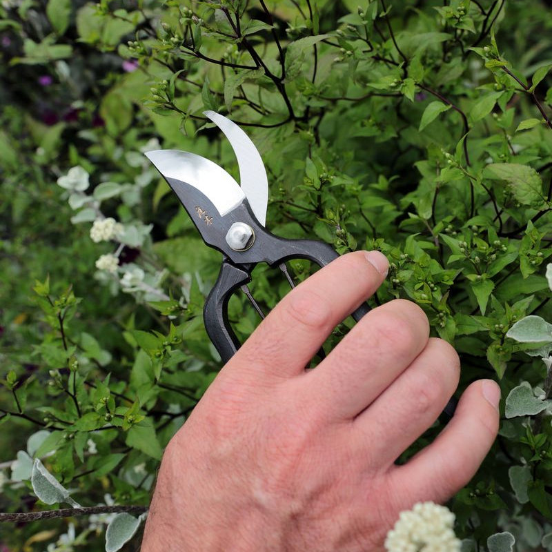 Niwaki Sentei Secateurs