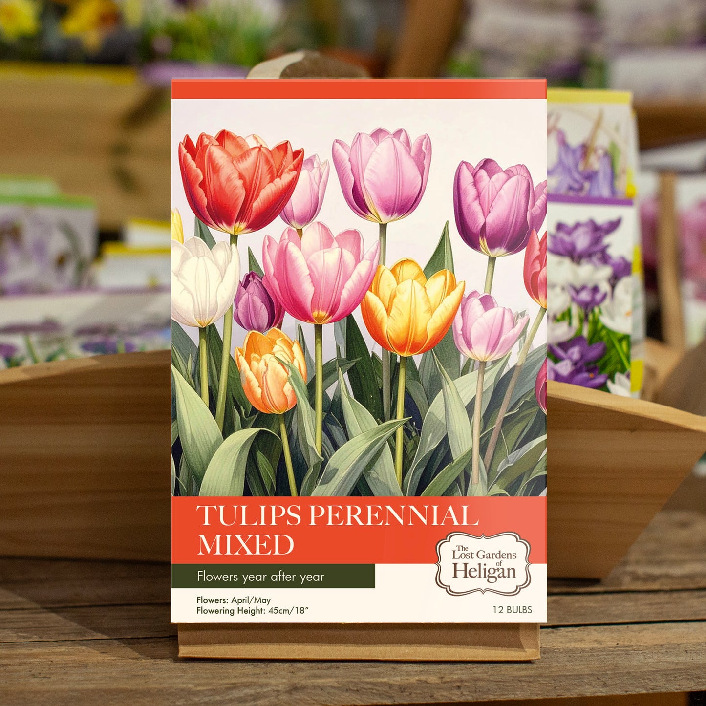 Tulips Perennial Mixed