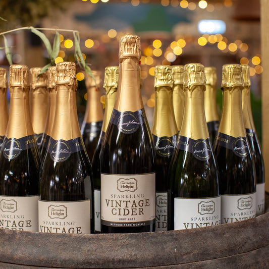 Heligan Vintage Sparkling Cider, Brut Rosé