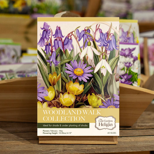Heligan Woodland Walk Collection
