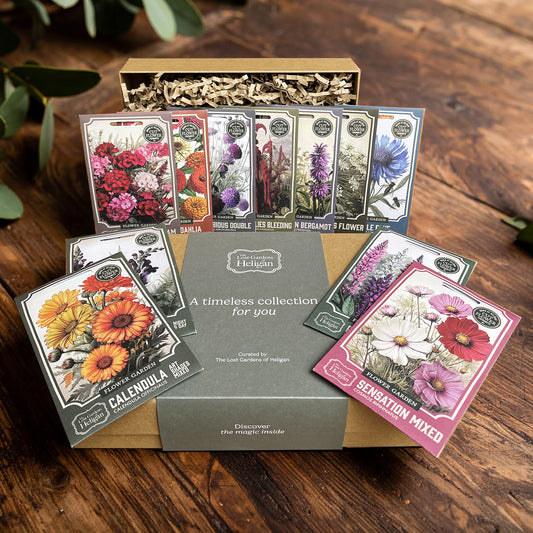 Cut Flower Favourite Seed Hamper