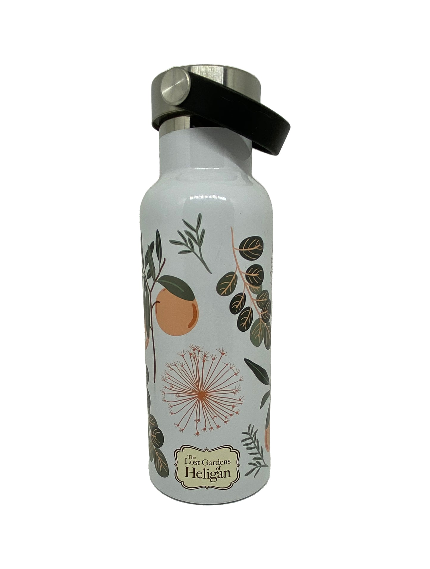 Fruit Water Bottle