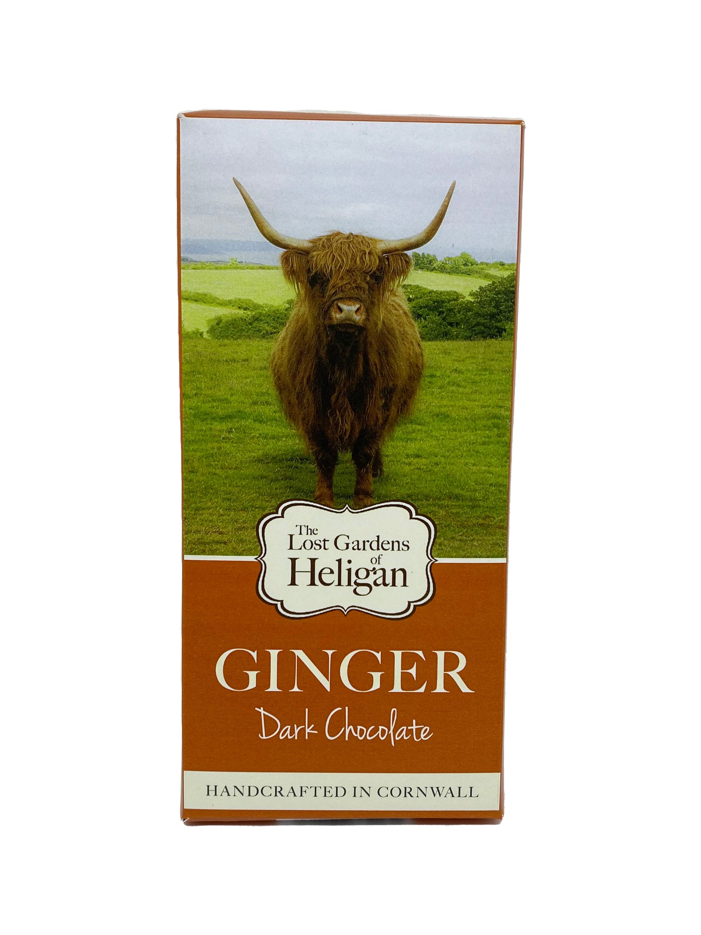 Ginger Dark Chocolate Bar 100g